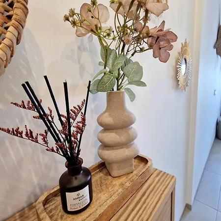 Rayo Apartament